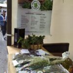 dolcemente_castelbuono_06