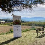 himera_07