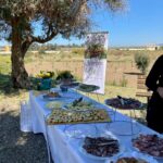 himera_34