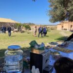 himera_39