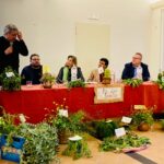 castelbuono_sagra_23