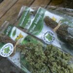 isnello-sagra-verdure_05