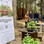 petralia-parcoavventura_21