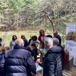 petralia-parcoavventura_44