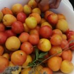 isnello_017