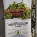 aromatica-palermo_03