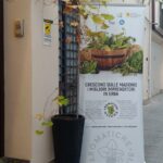 aromatica-palermo_06