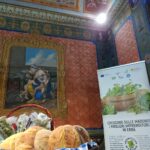 aromatiche_20-01-2024_03