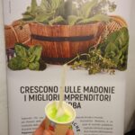 aromatiche_20-01-2024_05