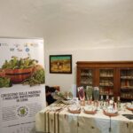 aromatiche_20-01-2024_07