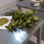 erbe-manicaretti_22