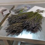 erbe-manicaretti_24
