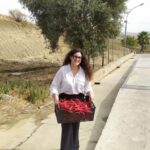 erbe-manicaretti_26