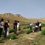 erbe-manicaretti_29
