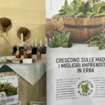 valledolmo_07