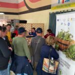 valledolmo_20
