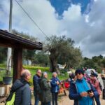 gole-tiberio_05