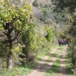 gole-tiberio_23