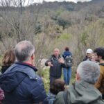 gole-tiberio_27
