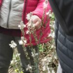 gole-tiberio_30