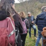 gole-tiberio_32