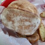 polizzi_verbumcaudo_20