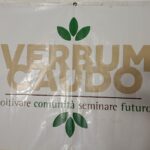 polizzi_verbumcaudo_23