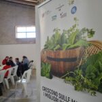 polizzi_verbumcaudo_32