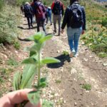 sagra_verdure_isnello_02