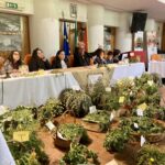 sagra_verdure_isnello_07