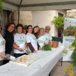sagra-finocchietto-blufi_10
