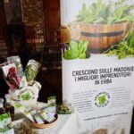 cheese-festival-23_01