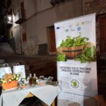 cheese-festival-23_02