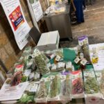 gangi_2022_17