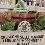 gangi_2022_34