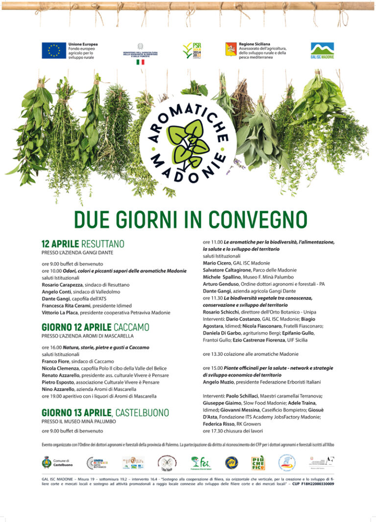 loc-convegno-12-13-ap-25